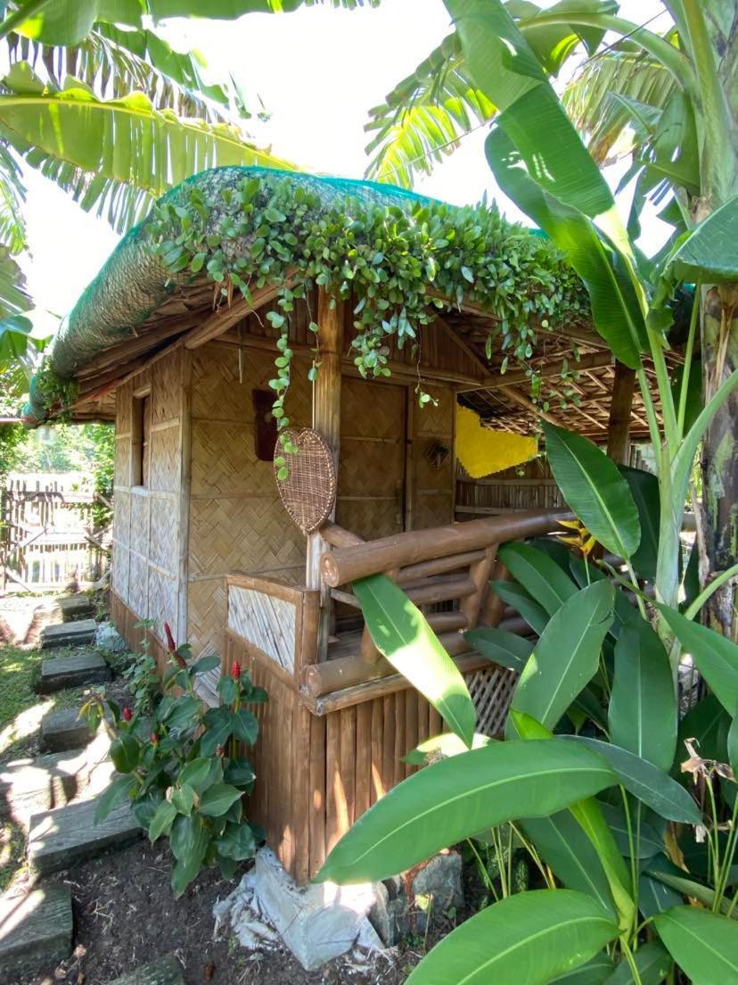 Dupas Luce Love Lodges Talipan ภายนอก รูปภาพ