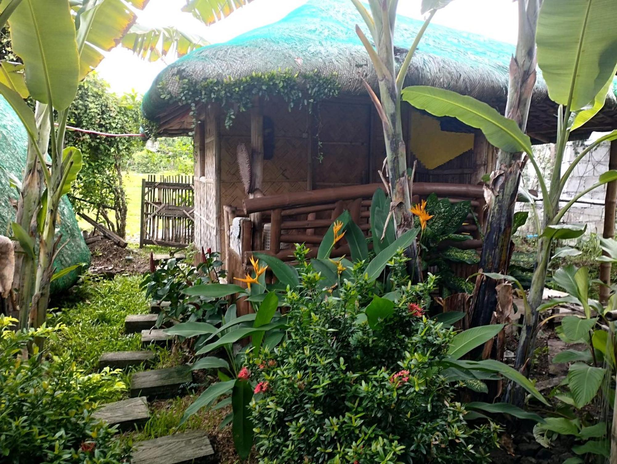 Dupas Luce Love Lodges Talipan ภายนอก รูปภาพ