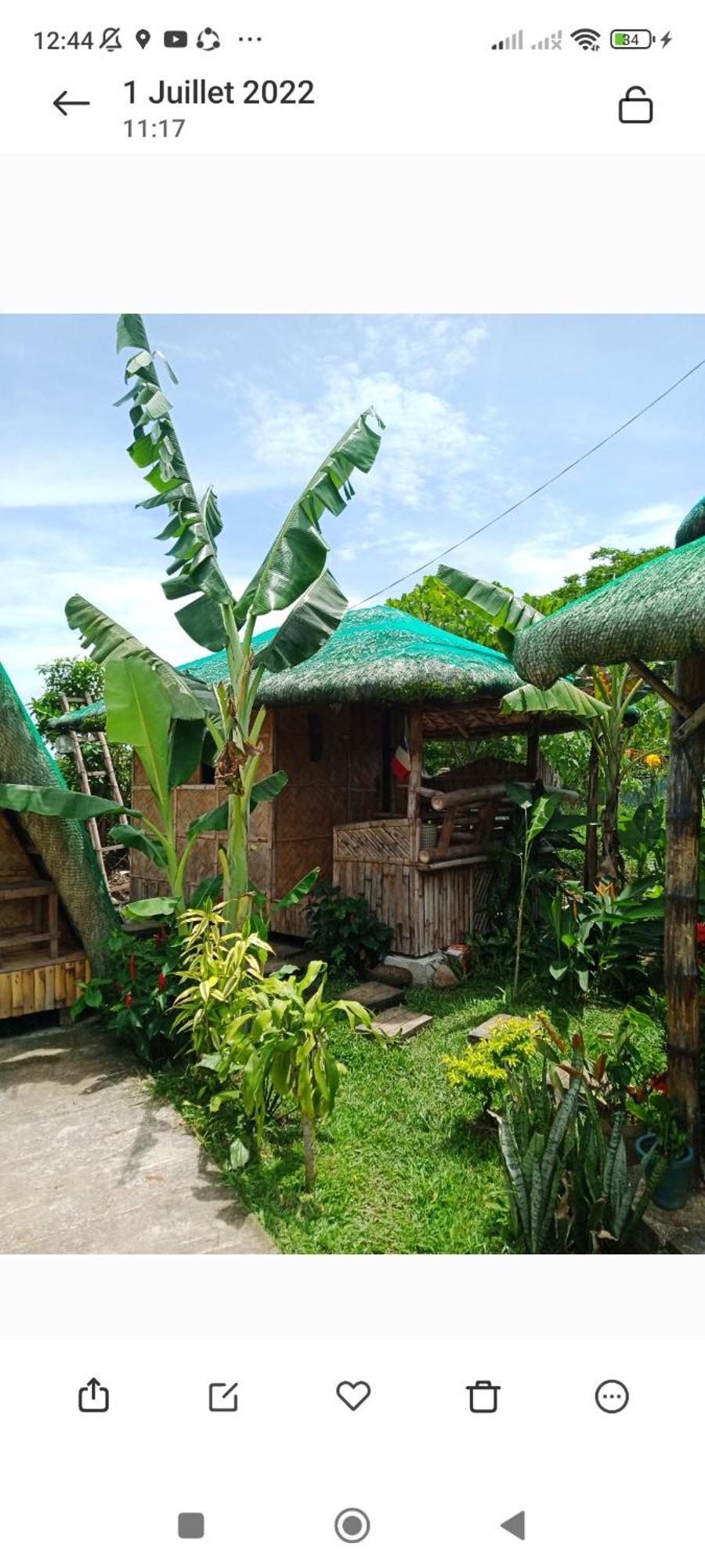 Dupas Luce Love Lodges Talipan ภายนอก รูปภาพ